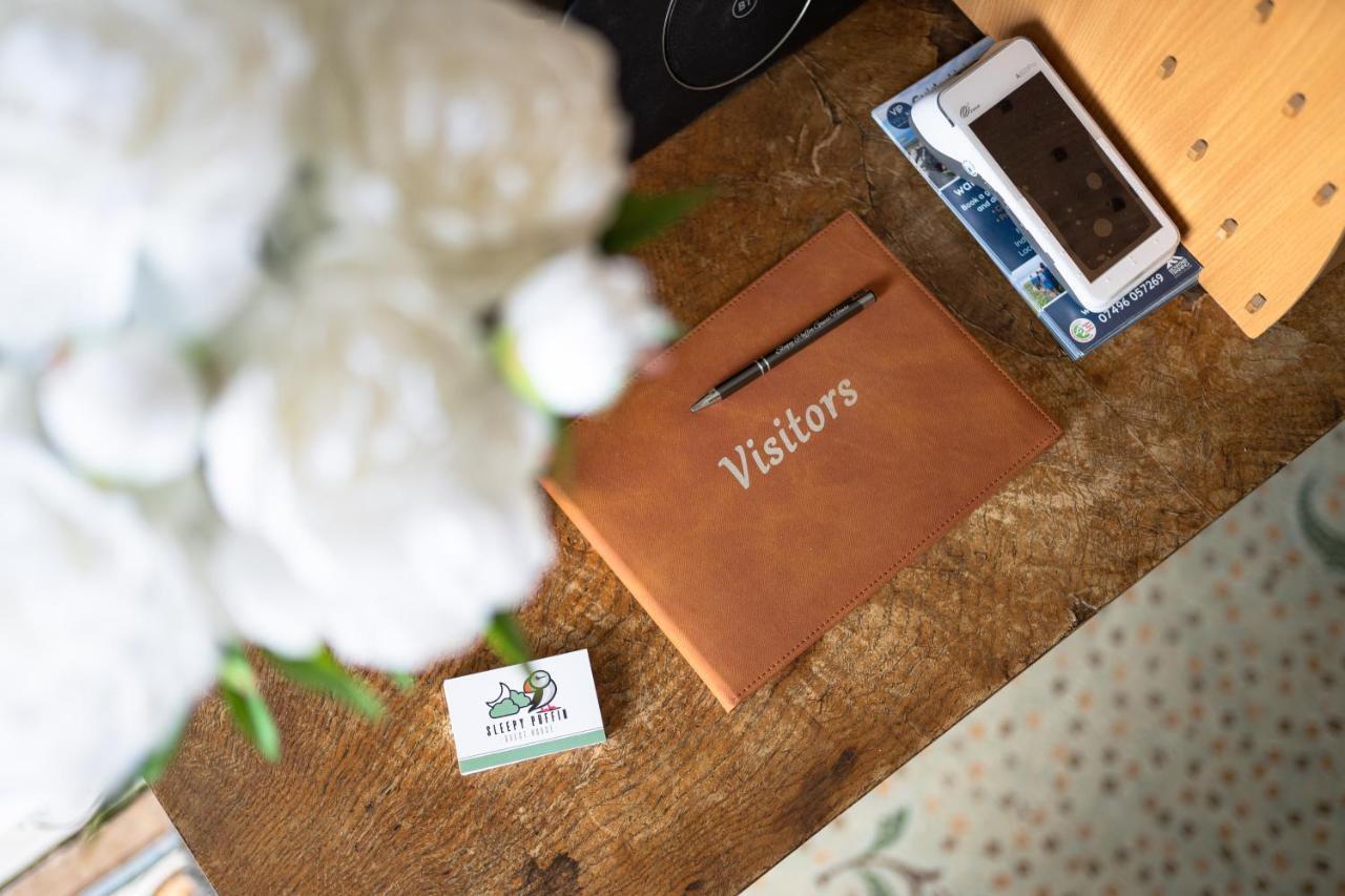 Sleepy Puffin Guest House Тенби Экстерьер фото